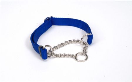 Coastal Check Training Collar for Dogs Adjustable Blue