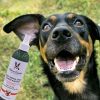 "Doggy Dental Spray Fights Plaque" by Warren London