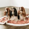 "Dog Rosewood Throw Dog Blanket" by Wag & Wonder