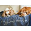 Midnight Throw Blanket for Dogs by Wag & Wonder