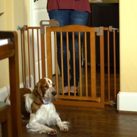 Dog One-Touch Pet Gate II in Brown