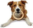 "Dura Chew Original Dog Ring" by Nylabone