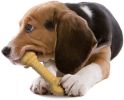 "Dog Chew Toy" by Nylabone Dura Chew Barbell