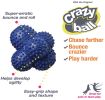 "Nylabone Power Play Crazy Ball Dog Toy"