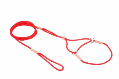 "Dog Martingale Leads Nylon" by Alvalley (size-4: Red : 8in X 1/16 Or 2 Mm)