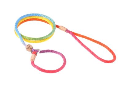 "Dog Slip Rope Lead" by Alvalley (Color: Rainbow Multicolor)