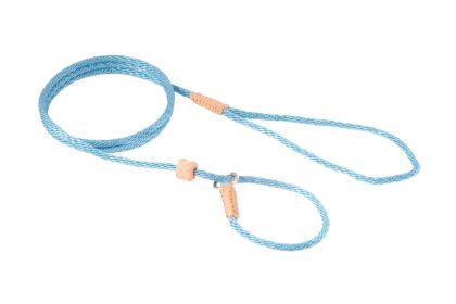 "Dog Slip Rope Lead" by Alvalley (Color: Sky Blue)