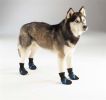 Guardian Gear® Dog Walking "All weather Boots"