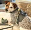 "Handmade PoisePup Dog Harness" Leather