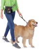 "Mobile Dog Gear" Day/Night 6 Pc Highly Reflective Walking Bag