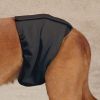 "Dog Washable Male Wrap" by Clean Go Pet