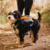 Dogs "Adventurer 2-piece Dog Pack" With EZ Latch Harness