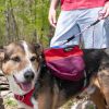 "AlphaPak" Dog Adventure 2-Piece Dog Pack With EZ Latch Harness