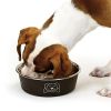 "ProSelect" Espresso Stainless Steel Goodie Dog Bowls