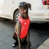 "Dog Vehicle Travel Harness" by GF