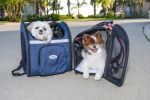 "Pet Backpacker Carrier" by Petique Inc.