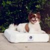 "Bamboo Memory Foam Pet Bed" by Petique Inc