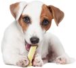 "Nylabone" Dura Chew Dog Bones