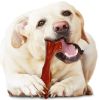 Nylabone Power Chew Bison Bone Alternative Dog Chew Toy